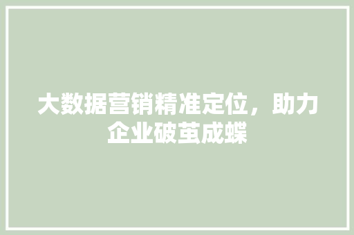 大数据营销精准定位，助力企业破茧成蝶
