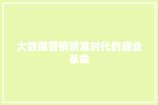 大数据营销精准时代的商业革命