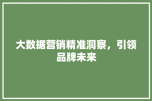 大数据营销精准洞察，引领品牌未来