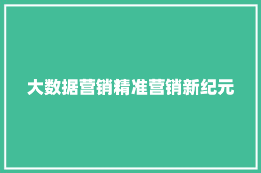 大数据营销精准营销新纪元