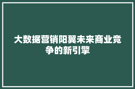 大数据营销阳翼未来商业竞争的新引擎