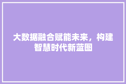 大数据融合赋能未来，构建智慧时代新蓝图
