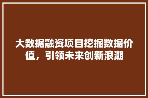 大数据融资项目挖掘数据价值,引领未来创新浪潮 大数据融资项目挖掘数据价值,引领未来创新浪潮
