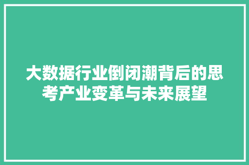 大数据行业倒闭潮背后的思考产业变革与未来展望