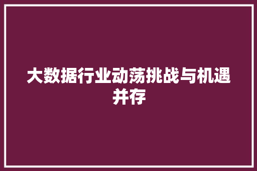 大数据行业动荡挑战与机遇并存