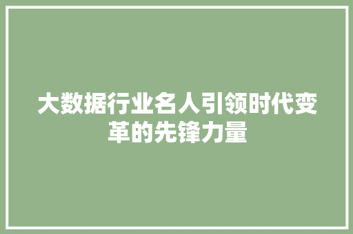 大数据行业名人引领时代变革的先锋力量