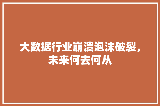 大数据行业崩溃泡沫破裂，未来何去何从