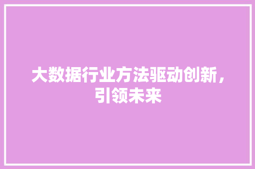 大数据行业方法驱动创新，引领未来