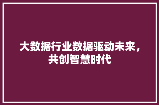大数据行业数据驱动未来，共创智慧时代