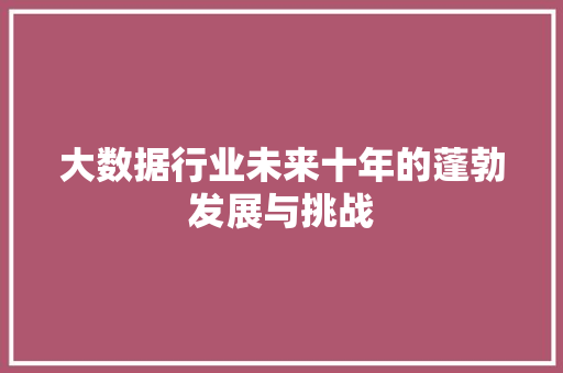 大数据行业未来十年的蓬勃发展与挑战