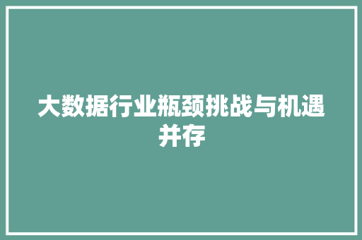 大数据行业瓶颈挑战与机遇并存
