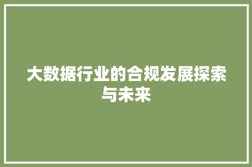 大数据行业的合规发展探索与未来