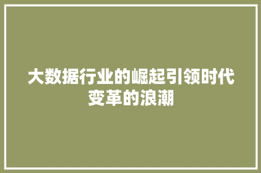 大数据行业的崛起引领时代变革的浪潮