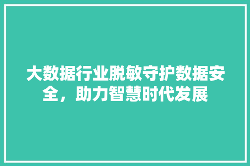 大数据行业脱敏守护数据安全，助力智慧时代发展