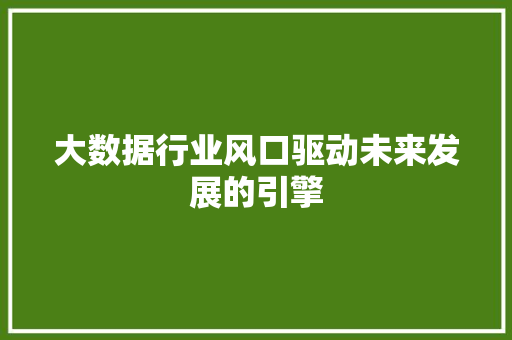大数据行业风口驱动未来发展的引擎