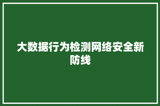 大数据行为检测网络安全新防线