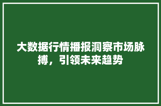 大数据行情播报洞察市场脉搏，引领未来趋势