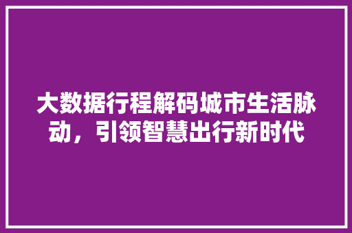 大数据行程解码城市生活脉动，引领智慧出行新时代