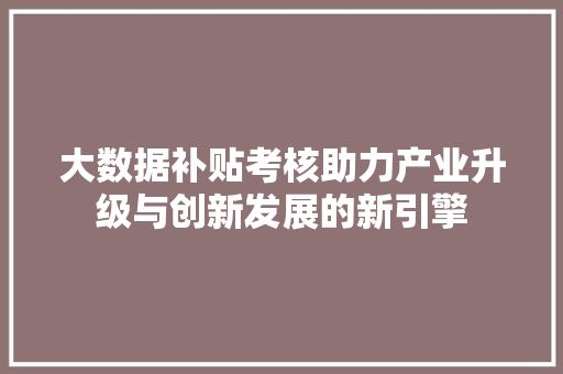 大数据补贴考核助力产业升级与创新发展的新引擎