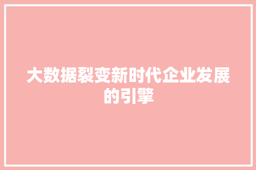 大数据裂变新时代企业发展的引擎