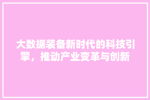 大数据装备新时代的科技引擎，推动产业变革与创新