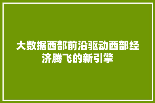 大数据西部前沿驱动西部经济腾飞的新引擎