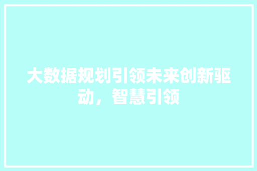 大数据规划引领未来创新驱动，智慧引领