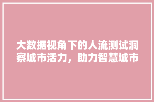 大数据视角下的人流测试洞察城市活力，助力智慧城市建设 操作系统