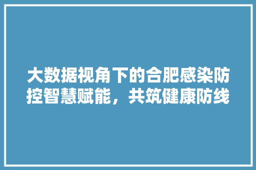 大数据视角下的合肥感染防控智慧赋能，共筑健康防线