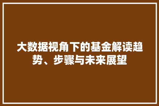 大数据视角下的基金解读趋势、步骤与未来展望