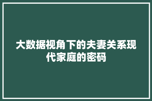 大数据视角下的夫妻关系现代家庭的密码 大数据视角下的夫妻关系现代家庭的密码