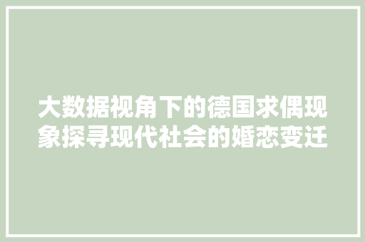 大数据视角下的德国求偶现象探寻现代社会的婚恋变迁