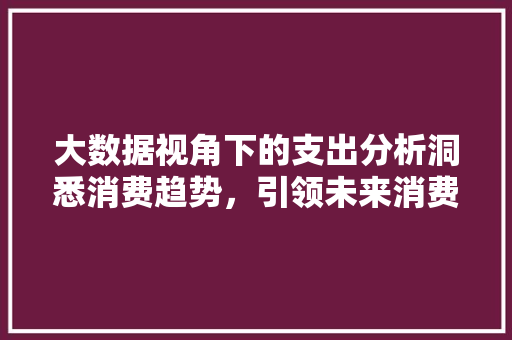 大数据视角下的支出分析洞悉消费趋势，引领未来消费格局