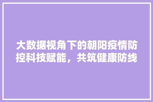大数据视角下的朝阳疫情防控科技赋能，共筑健康防线