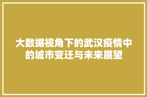 大数据视角下的武汉疫情中的城市变迁与未来展望