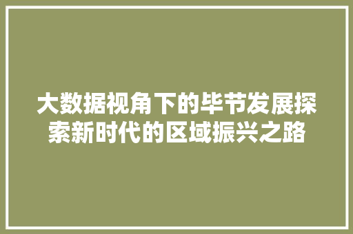 大数据视角下的毕节发展探索新时代的区域振兴之路