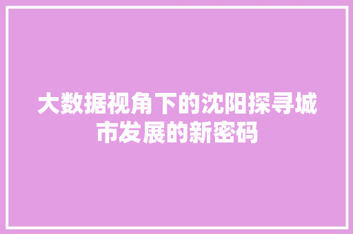 大数据视角下的沈阳探寻城市发展的新密码