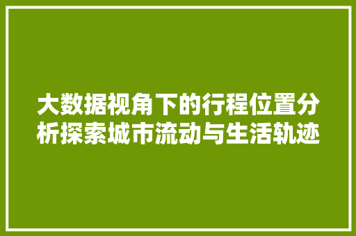 大数据视角下的行程位置分析探索城市流动与生活轨迹