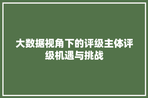 大数据视角下的评级主体评级机遇与挑战
