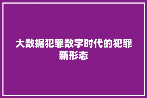 大数据犯罪数字时代的犯罪新形态