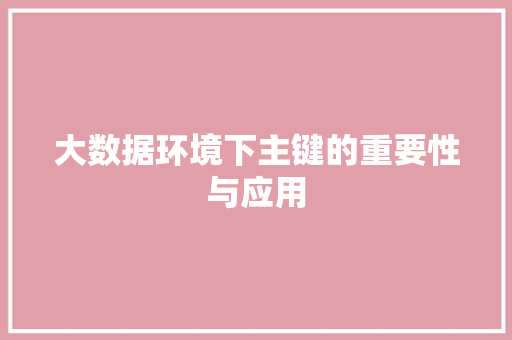 大数据环境下主键的重要性与应用