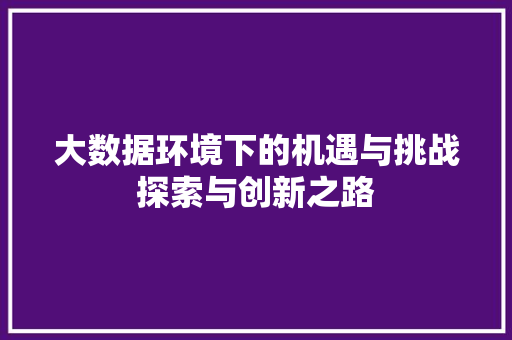 大数据环境下的机遇与挑战探索与创新之路