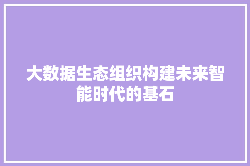 大数据生态组织构建未来智能时代的基石