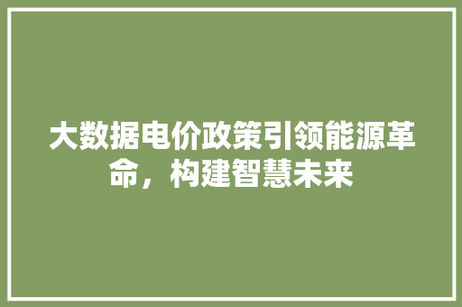 大数据电价政策引领能源革命，构建智慧未来
