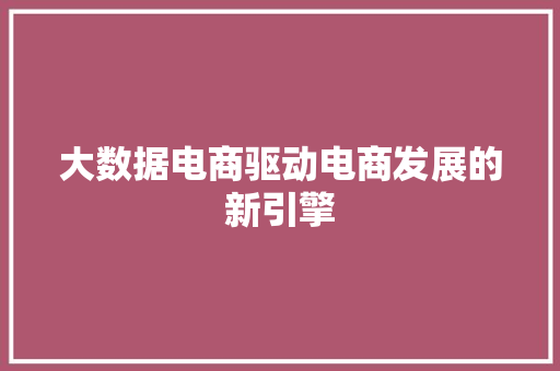 大数据电商驱动电商发展的新引擎