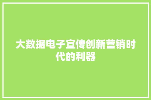 大数据电子宣传创新营销时代的利器
