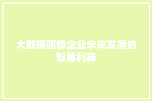 大数据画像企业未来发展的智慧利器