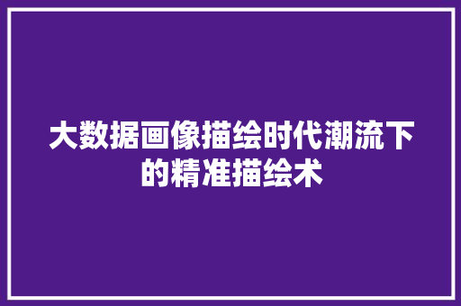 大数据画像描绘时代潮流下的精准描绘术