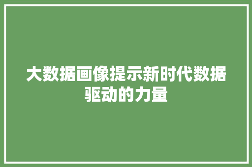 大数据画像提示新时代数据驱动的力量