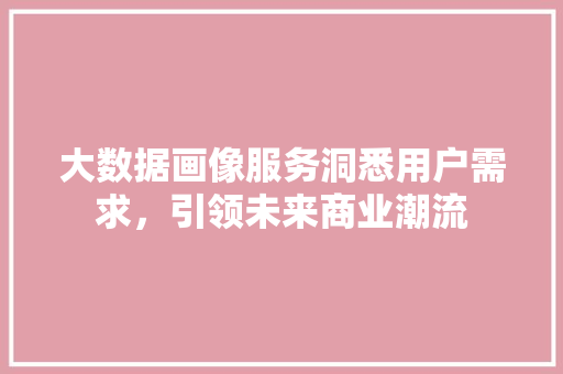 大数据画像服务洞悉用户需求，引领未来商业潮流